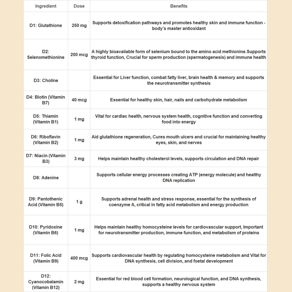 12 Disciples - Vitel-A™ | Daily Vitality Complex