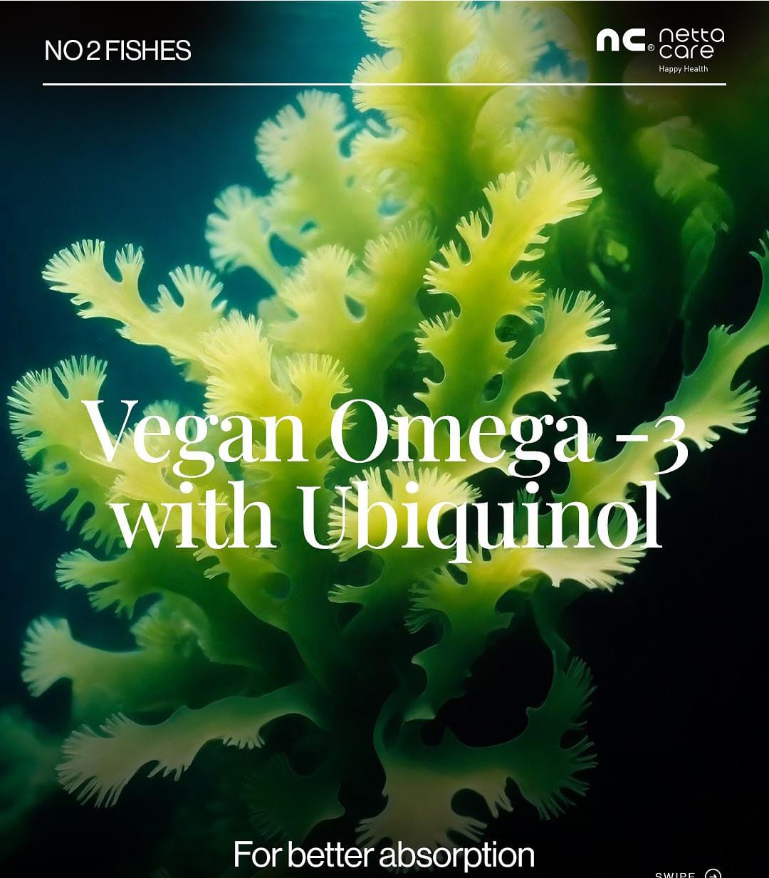 No 2 Fishes™ Qtel Ω3 | Vegan Omega 3 + Ubiquinol Synergy Capsule